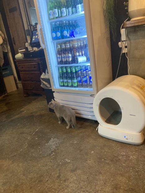 홍담 이미지