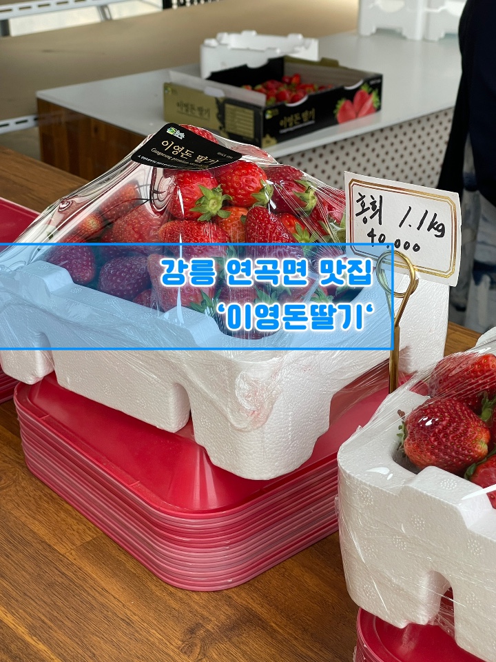 이영돈딸기 이미지