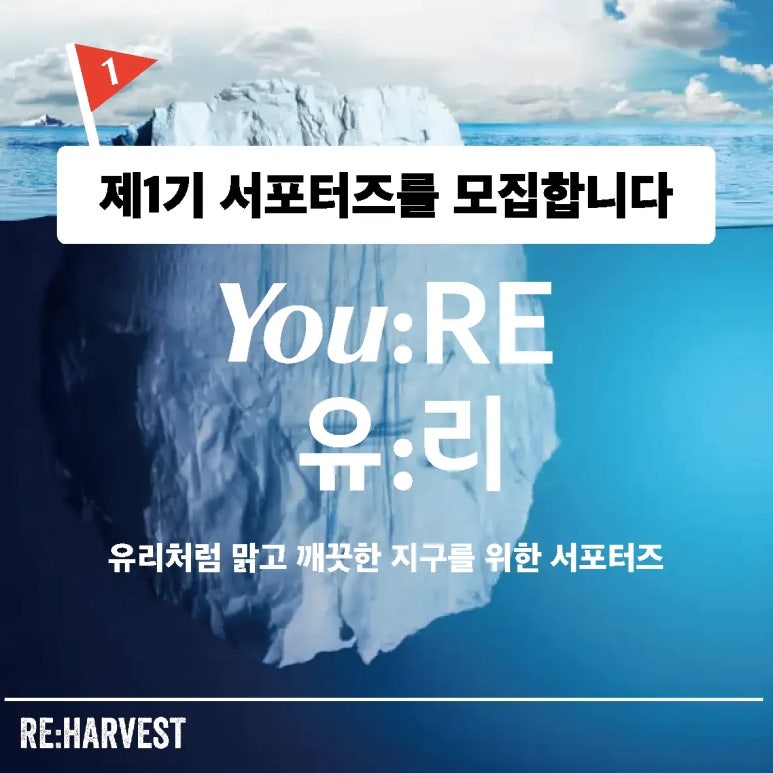 리(RE) 이미지
