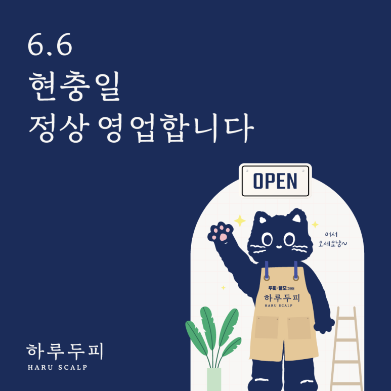 두피명가 이미지