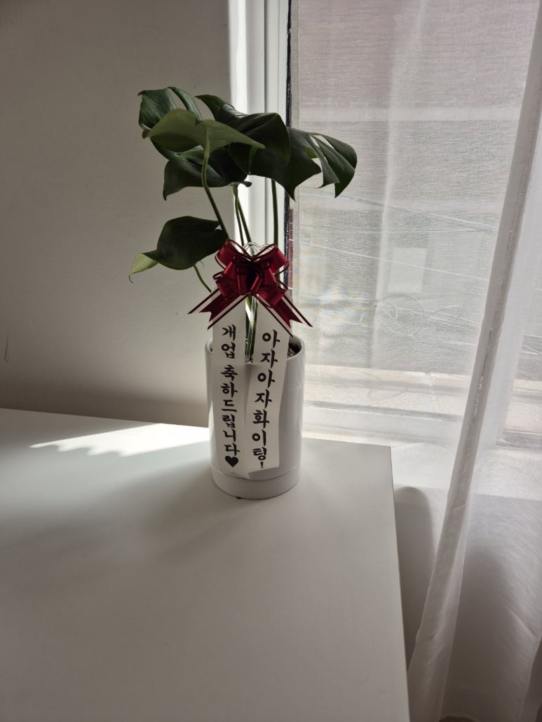 라플리스튜디오 이미지