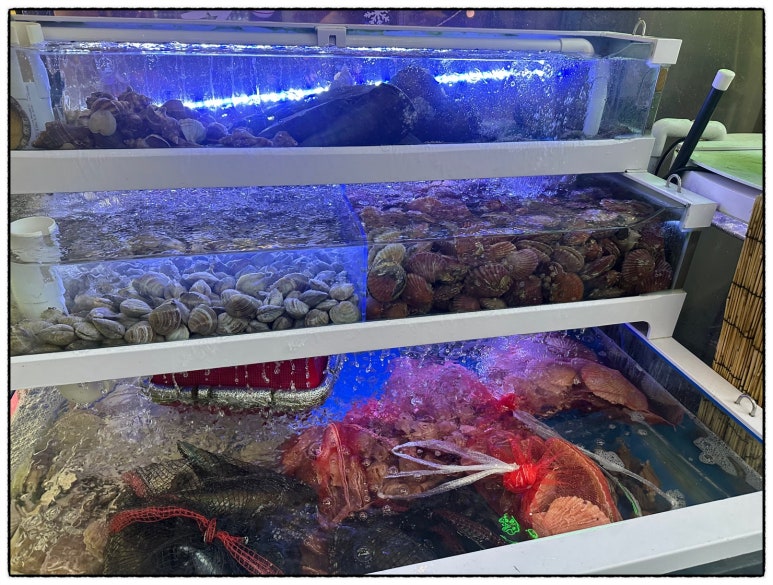 일산조개구이 이미지