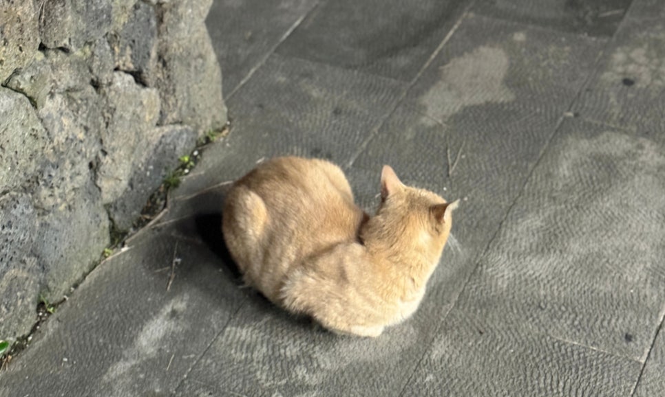뜬금부엌 이미지