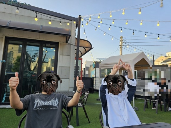 꾸브라꼬숯불두마리치킨충주점 이미지