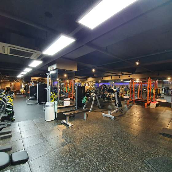 제이브로 이미지