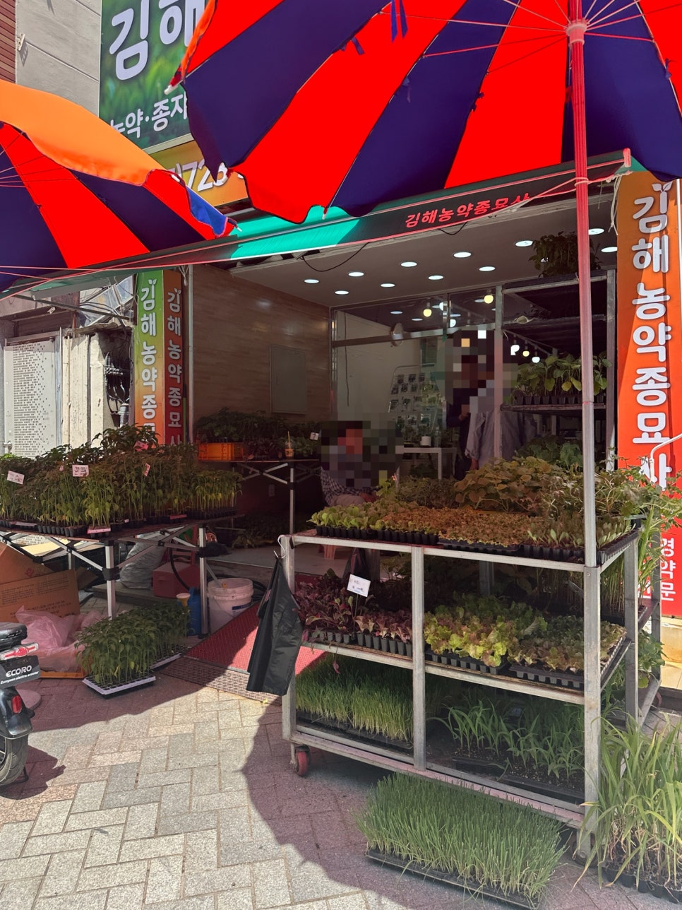 김해농약종묘사 이미지