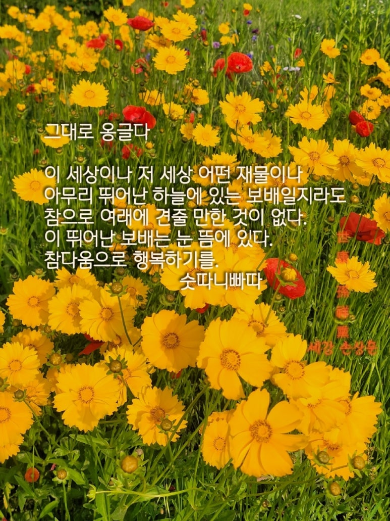 옹글다 이미지