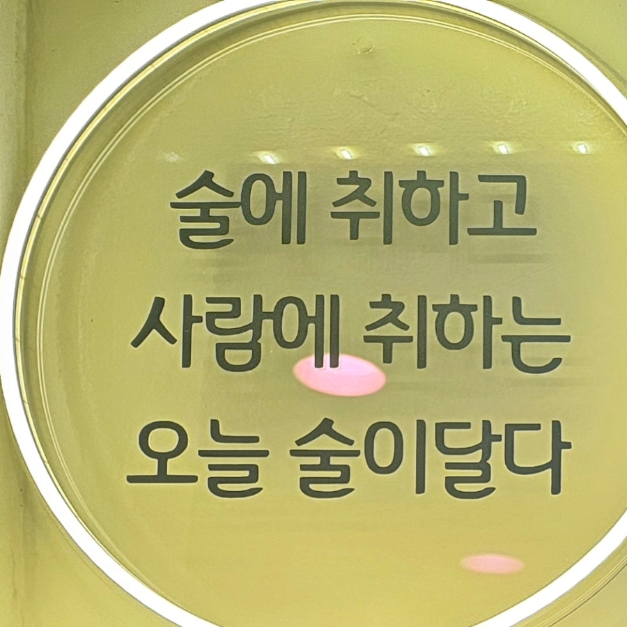 술이달다 이미지