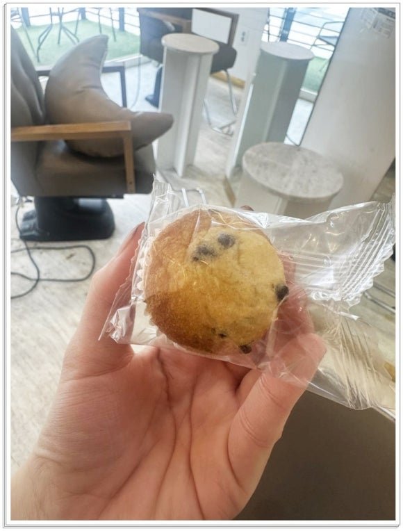 살롱드로즈 이미지