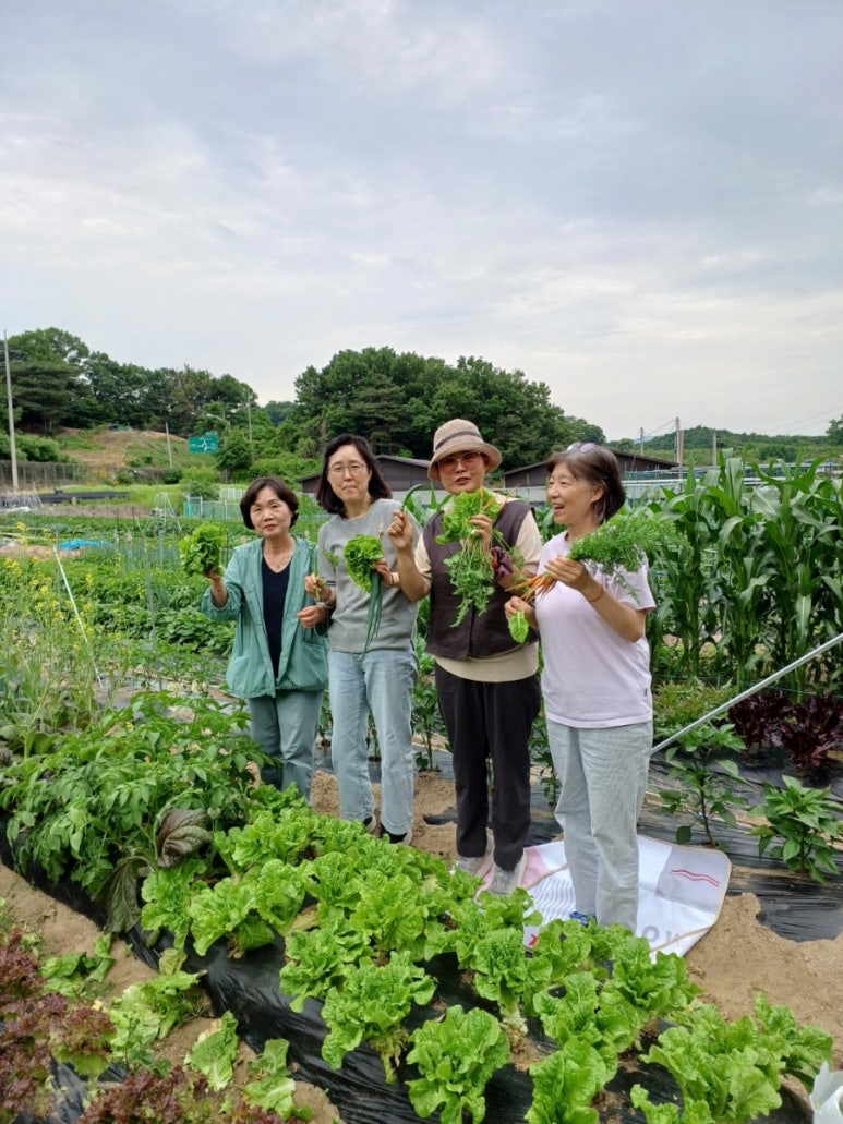별별채소 이미지