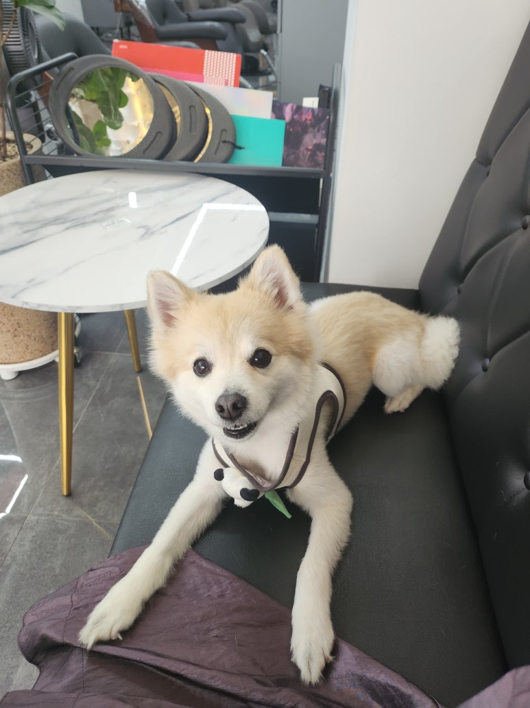 에비수헤어 성안본점 이미지