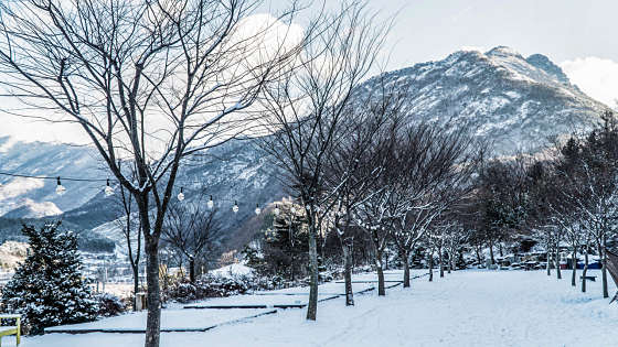 대둔산글램핑캠핑장 이미지