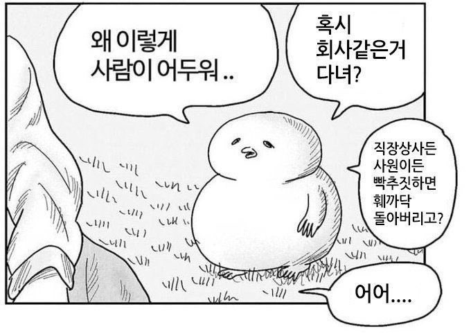 프레드피자첨단점 이미지