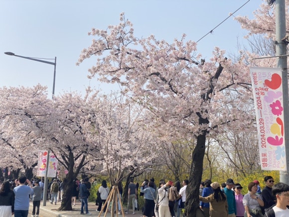 김밥먹는백설공주 이미지
