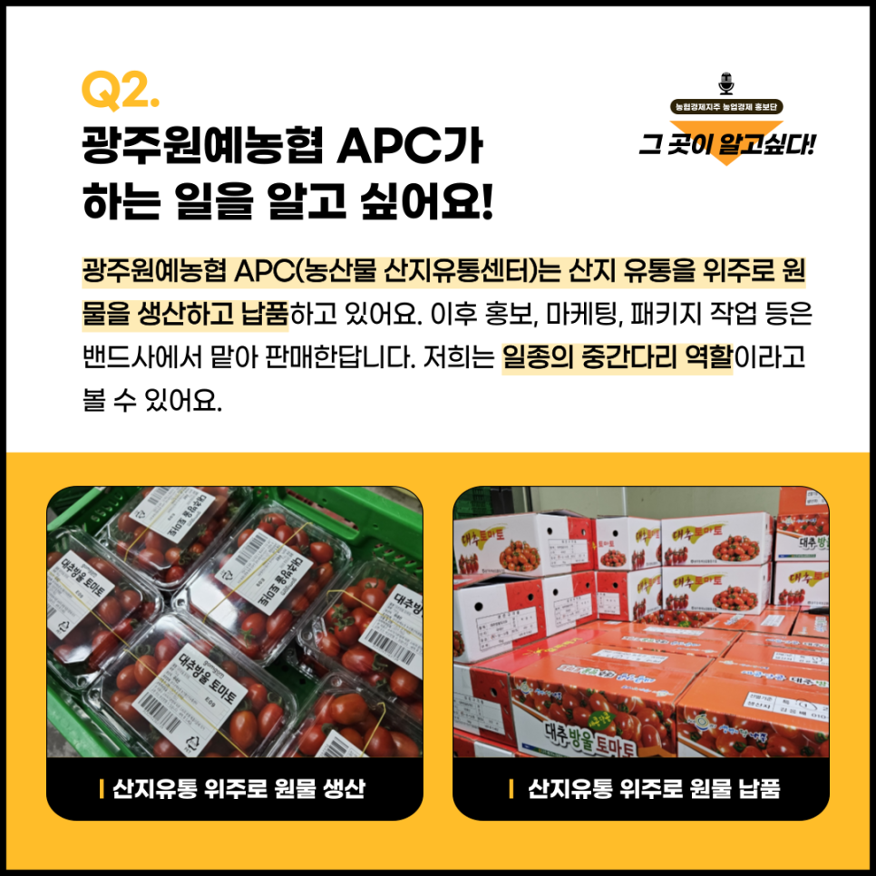 광주원예농협농산물산지유통센터 이미지