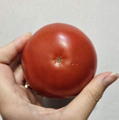신선해라 이미지