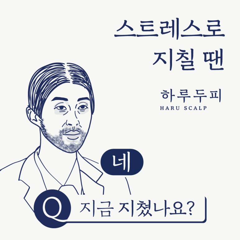 두피명가 이미지