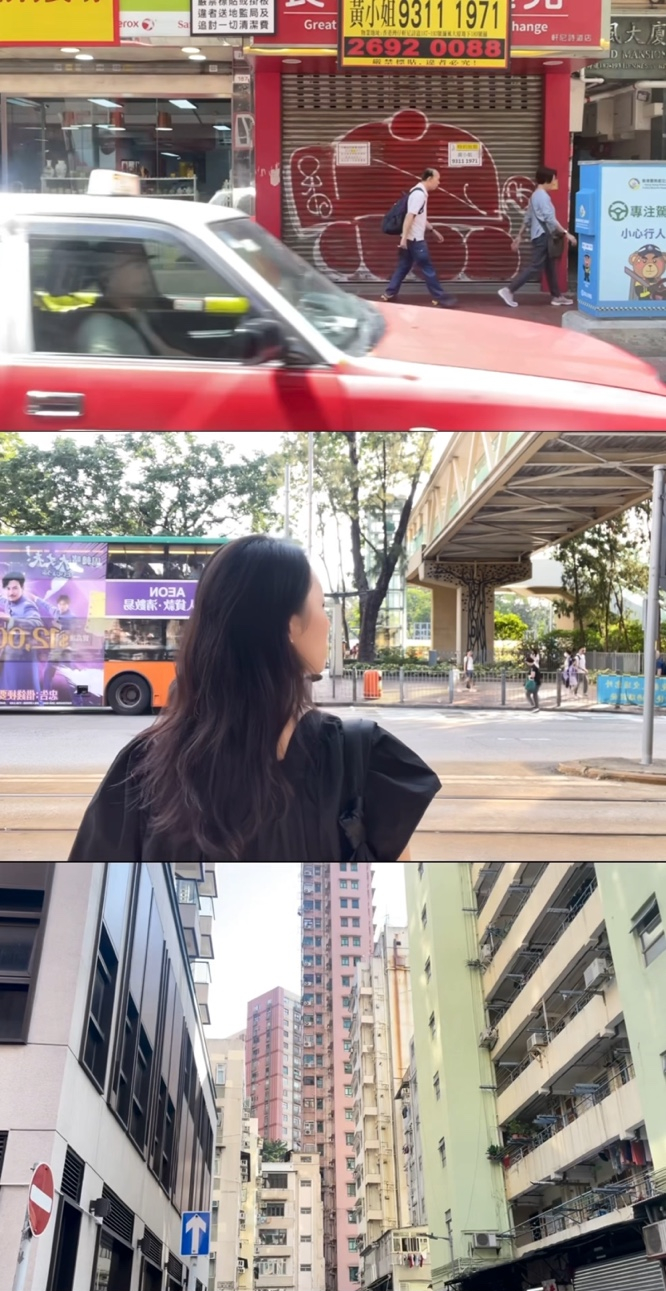 리틀디어리 이미지