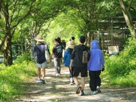 장수흙돼지 이미지