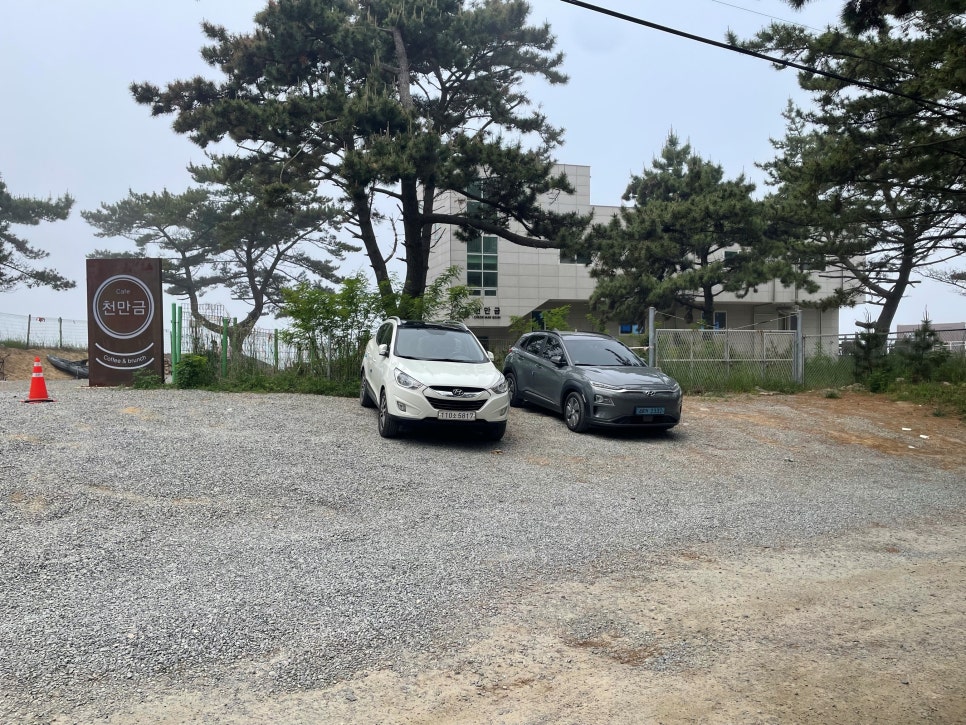 천만금 이미지