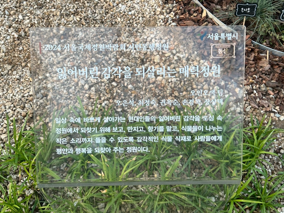 바늘정원 이미지