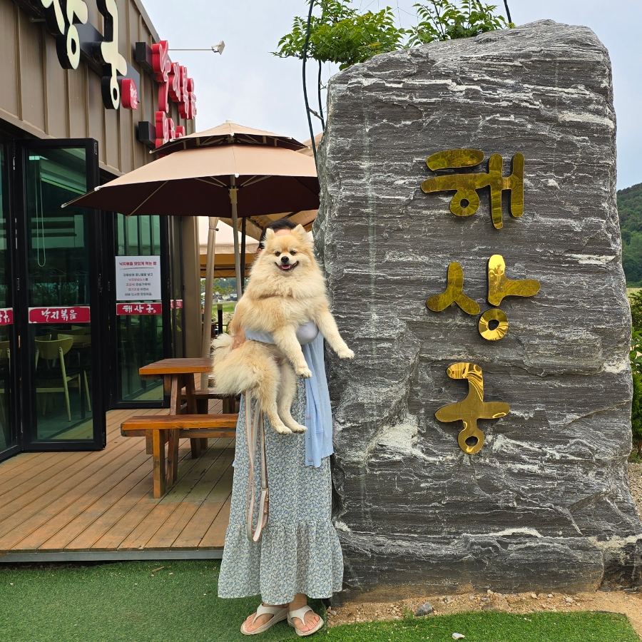 배상궁 이미지