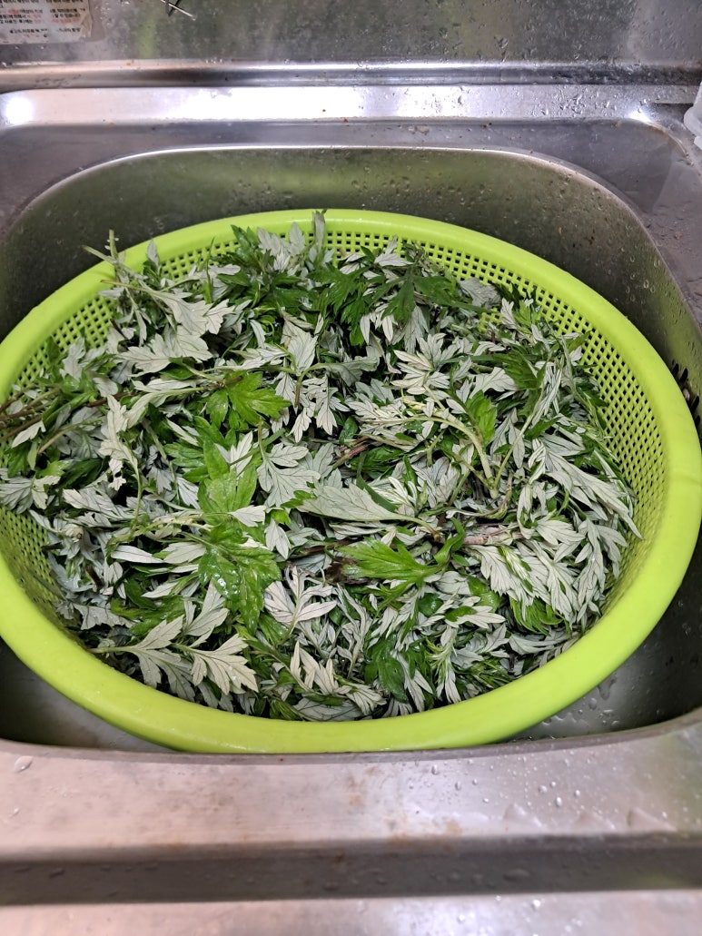 질경이수원 이미지