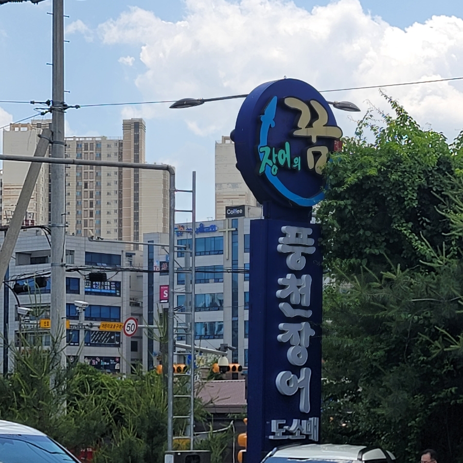청해수산장어의꿈 이미지