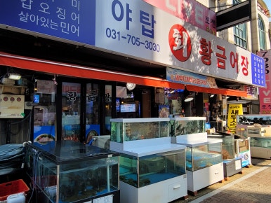 야탑황금어장 이미지
