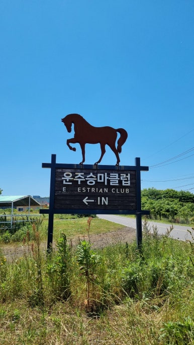 운주승마클럽 이미지