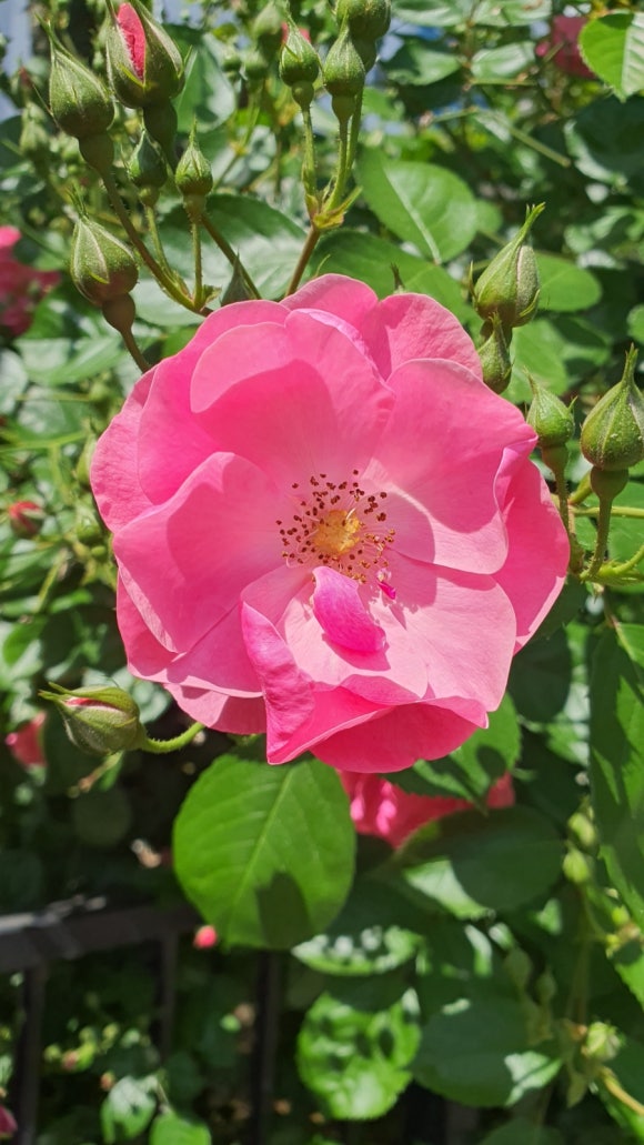 산책같은수다 이미지