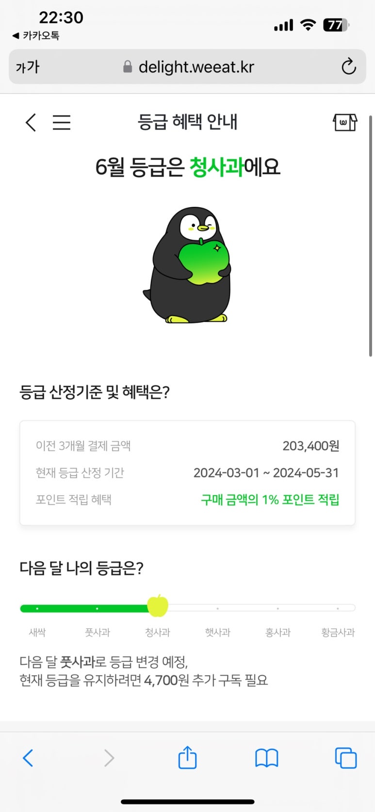 샐러두잇 이미지