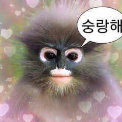 설빙해밀점 이미지