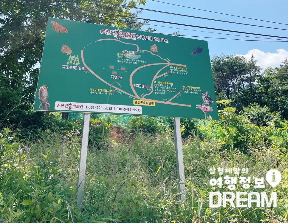 순천곤충박물관 이미지