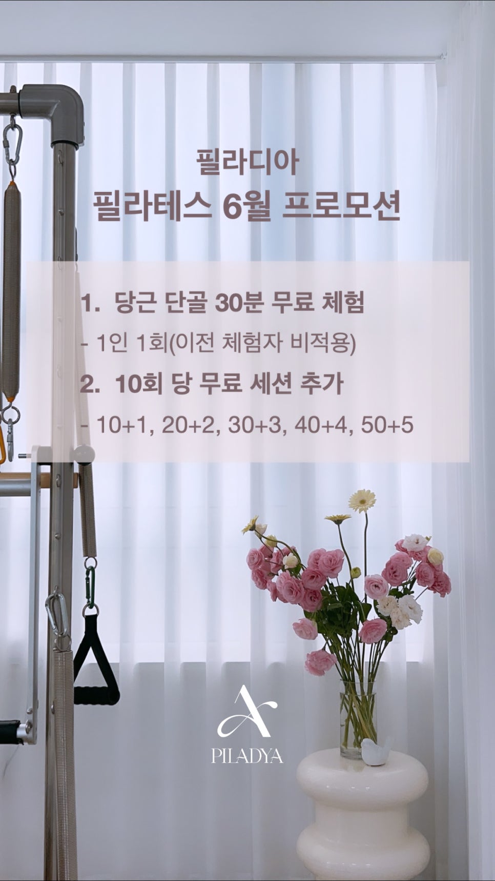 필라디아 이미지