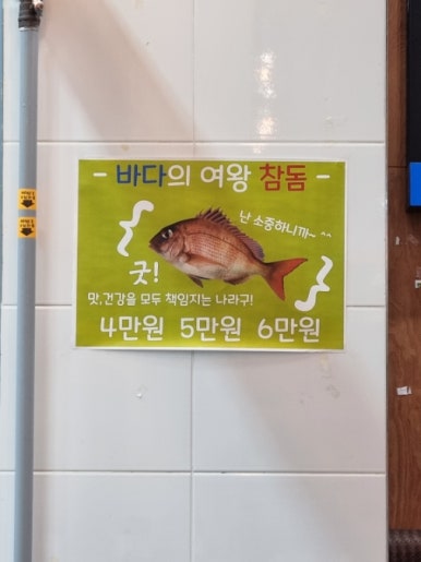 탐나종합어시장 신설동역점 이미지