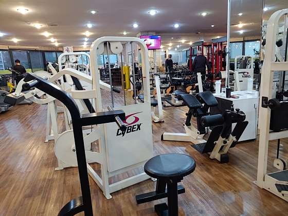 대성헬스 이미지