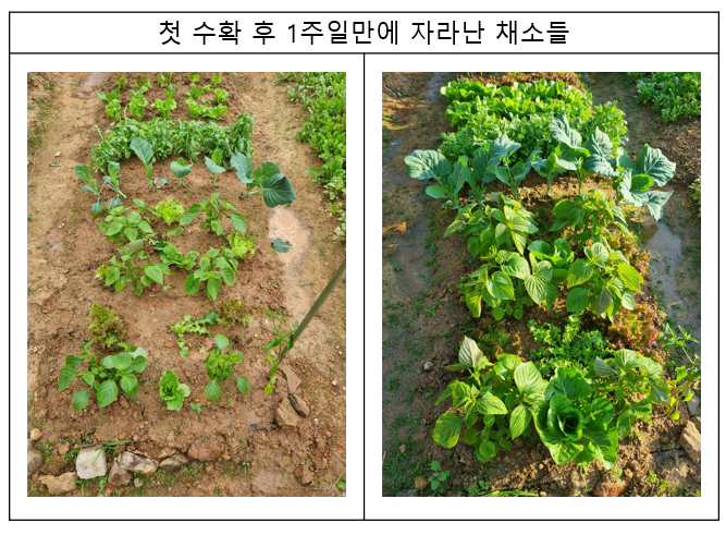 미니슈퍼마켓 이미지
