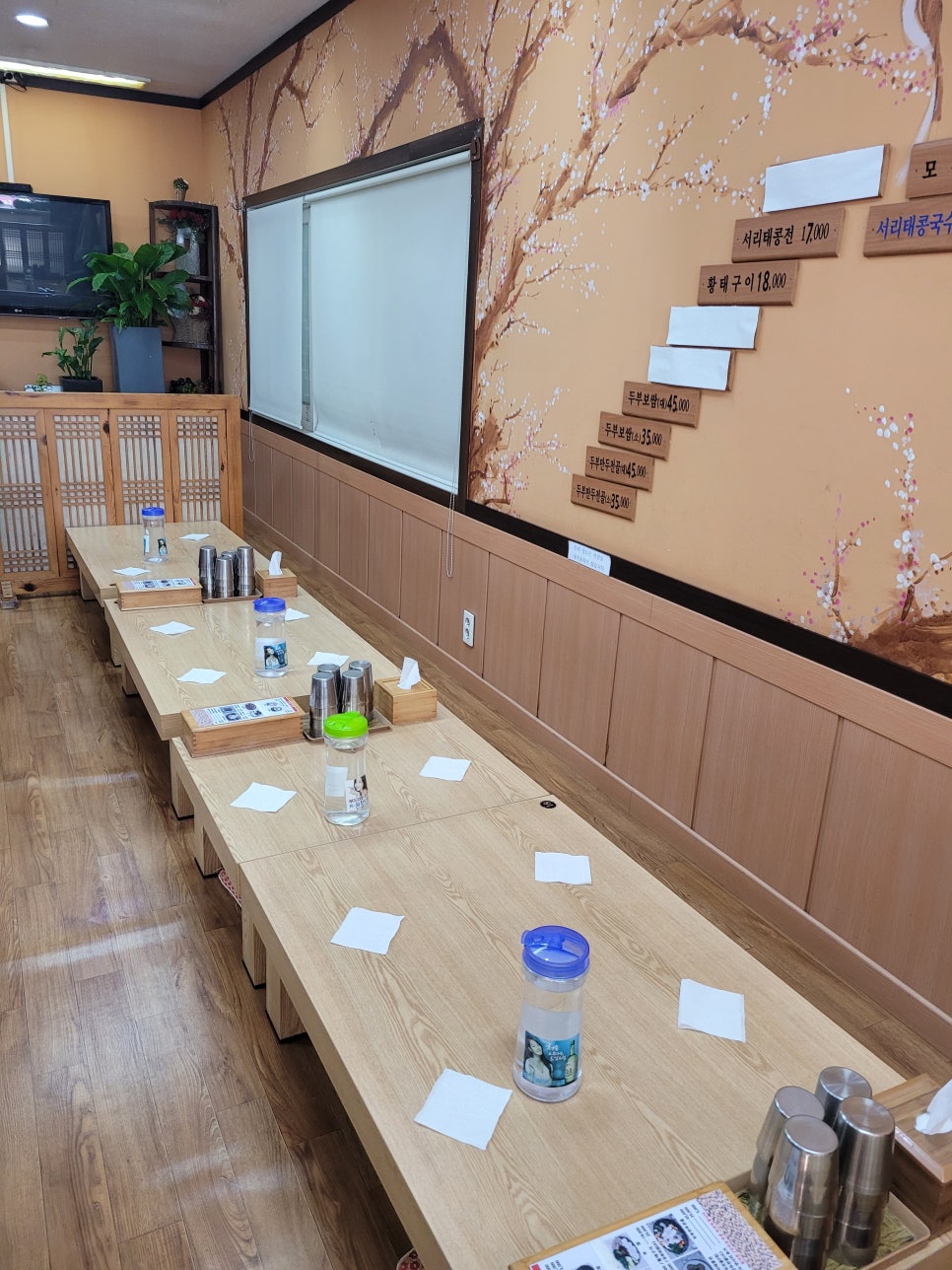 신박사 콩사랑 이미지