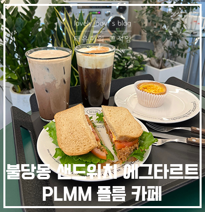 플름(PLMM) 이미지