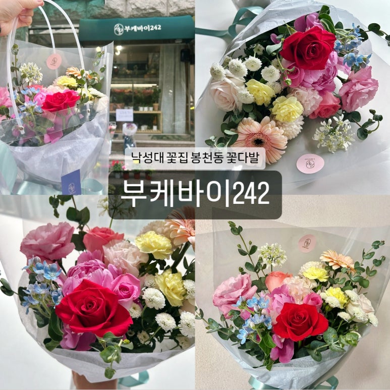 부케바이242 이미지