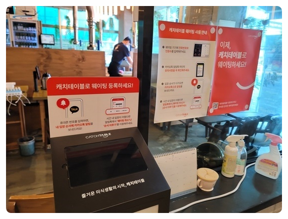 서해쭈꾸미 이미지