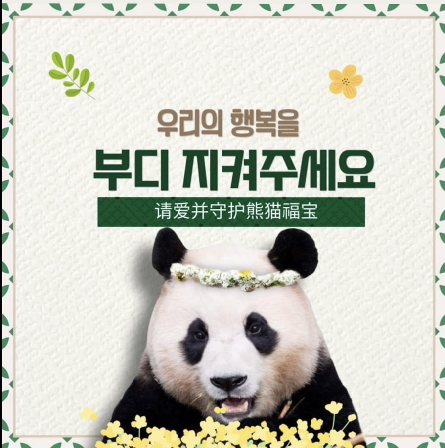 우리오에이 이미지