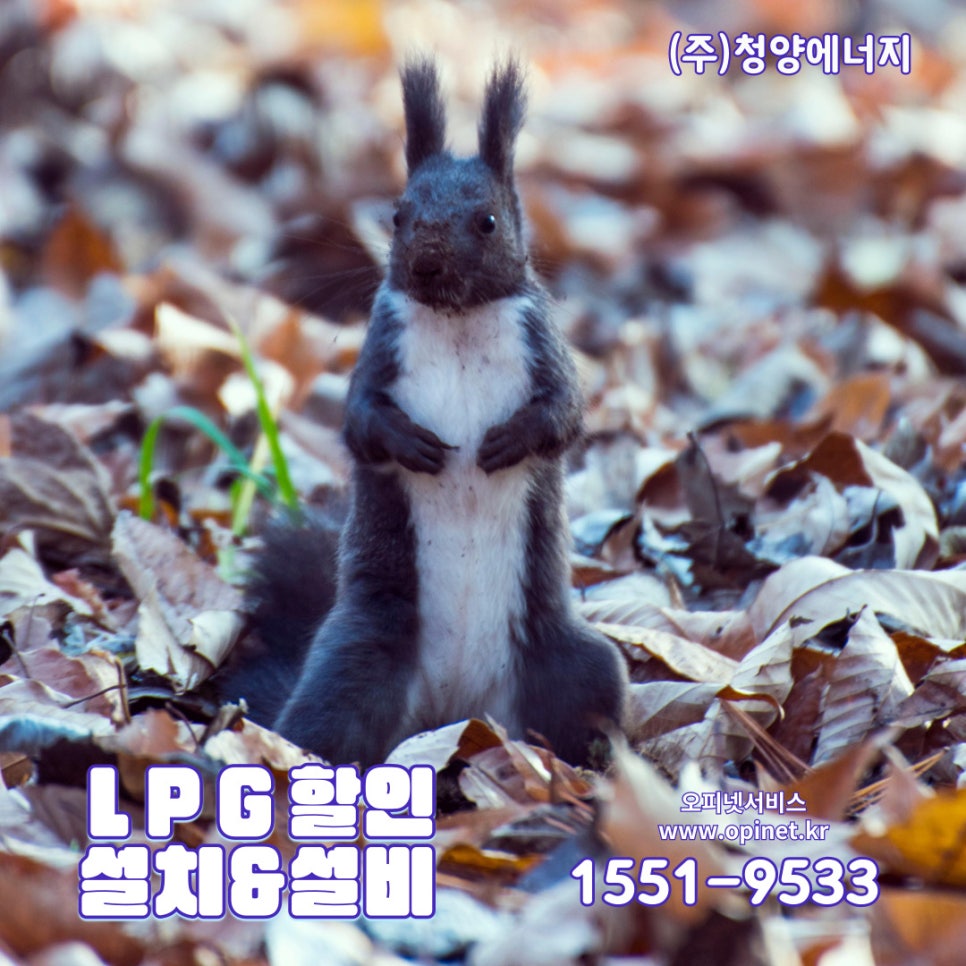 (주)청양환경산업 이미지