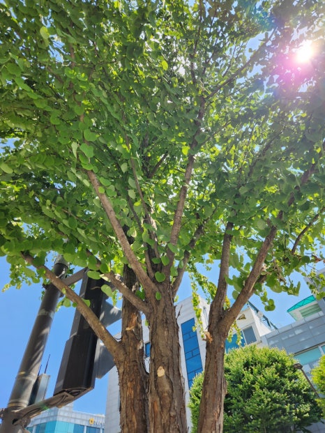 비스트로테이스티 이미지