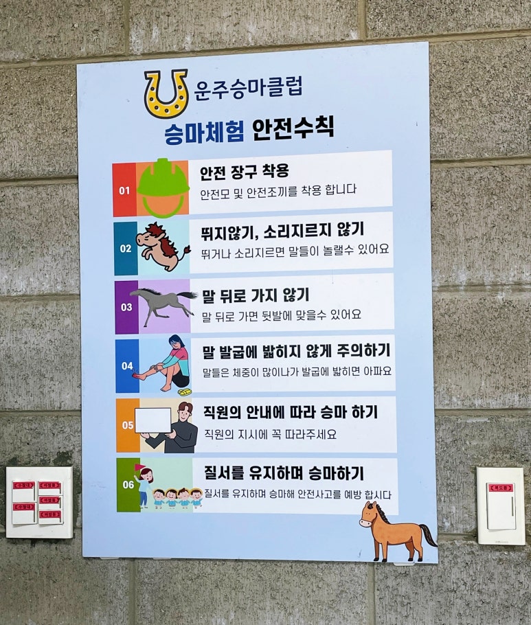 운주승마클럽 이미지