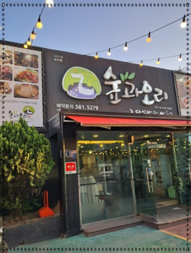 숲오리 이미지