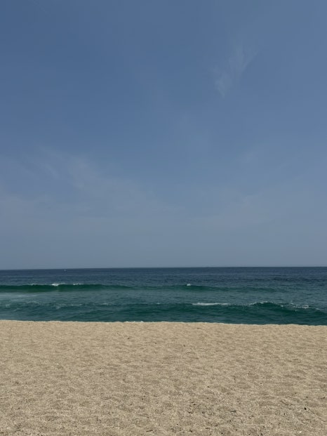 수디 이미지
