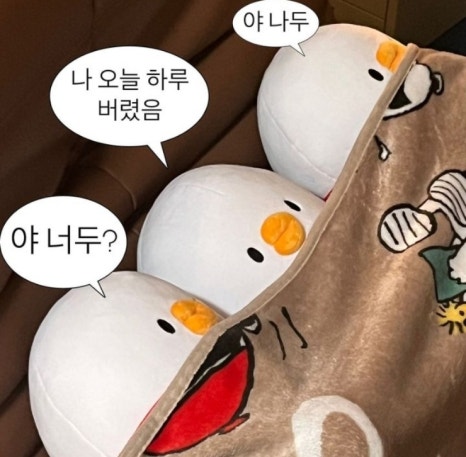 더오리 이미지