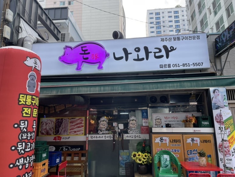 돈나와라 이미지